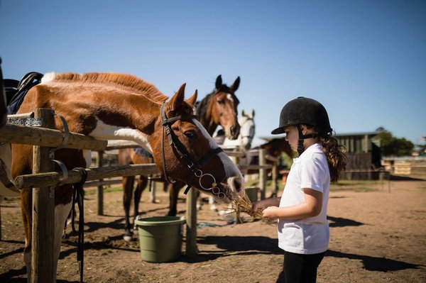 Comment organiser des vacances dans un ranch au Texas avec rodéo et barbecue américain traditionnel?