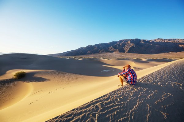 Quel est le meilleur lieu pour une initiation à la fauconnerie dans le désert des Émirats Arabes Unis ?